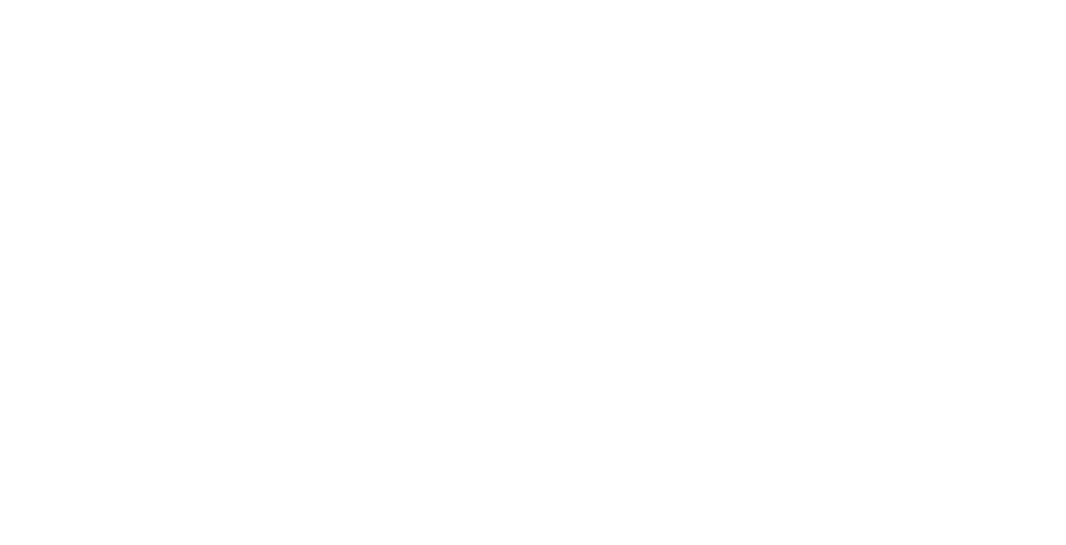 Impact Foundation Logo